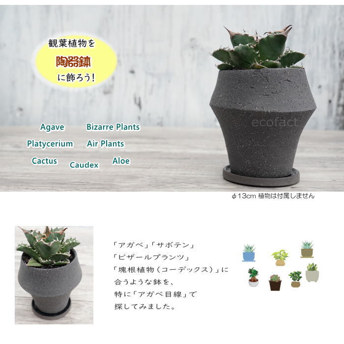陶器鉢 植木鉢 ミニポット ドラムハイ グレイ φ13cm おしゃれ かわいい
