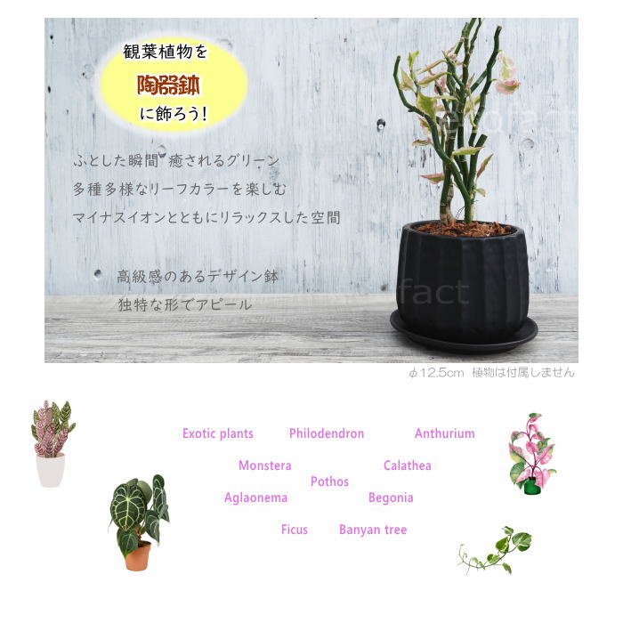 おしゃれ フラワーポット 陶器鉢 植木鉢 ミニポット リベロ黒マットM