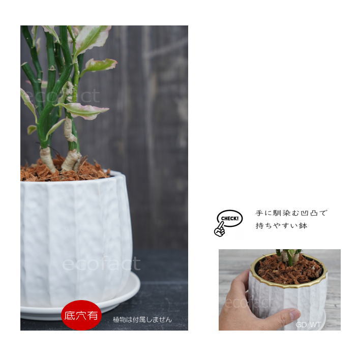 おしゃれ フラワーポット 陶器鉢 植木鉢 ミニポット リベロ 白 M