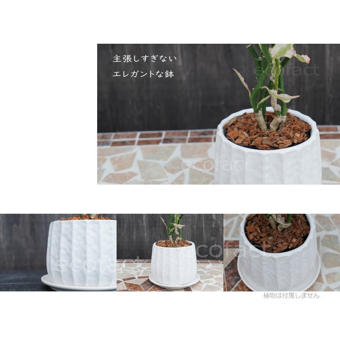 0812  植木鉢  陶器  入れ物 おしゃれ フラワーポット 陶器鉢 植木鉢 ミニポット リベロ 白 M