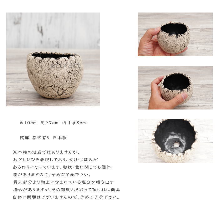 陶器鉢 植木鉢 ミニポット 老松S φ10cm おしゃれ かわいい プランター