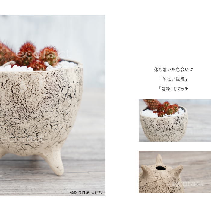 陶器鉢 植木鉢 ミニポット 老松S 足付 φ10cm おしゃれ かわいい