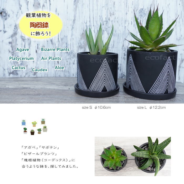 セメント鉢 植木鉢 底穴あり レオブラックL 黒 φ12.2cm 皿付き