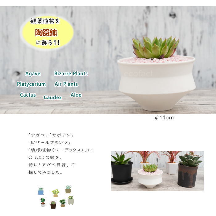 陶器鉢 植木鉢 ミニポット 長月 白 ホワイト φ11cm おしゃれ かわいい