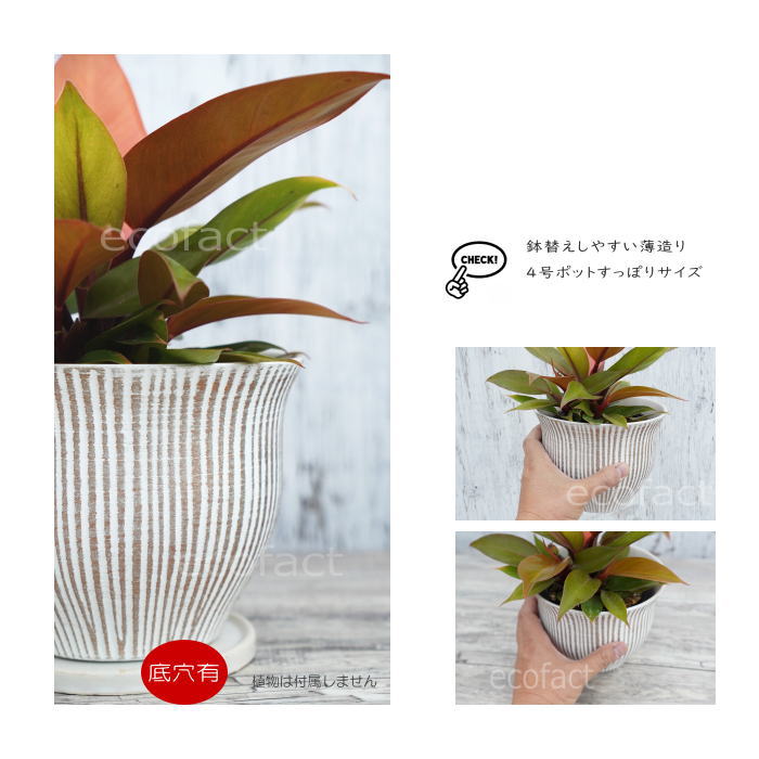 陶器 円形鉢 足付き 中央穴あり　豊林　落款 フラワーポット 植木鉢 おしゃれ 陶器鉢 ミニポット 底穴あり