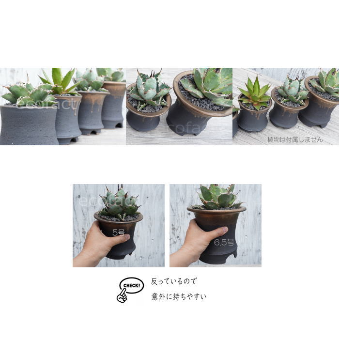 陶器 円形鉢 足付き 中央穴あり　豊林　落款 陶器鉢 植木鉢 金彩高脚 5号フチなし 底穴あり ゴールド