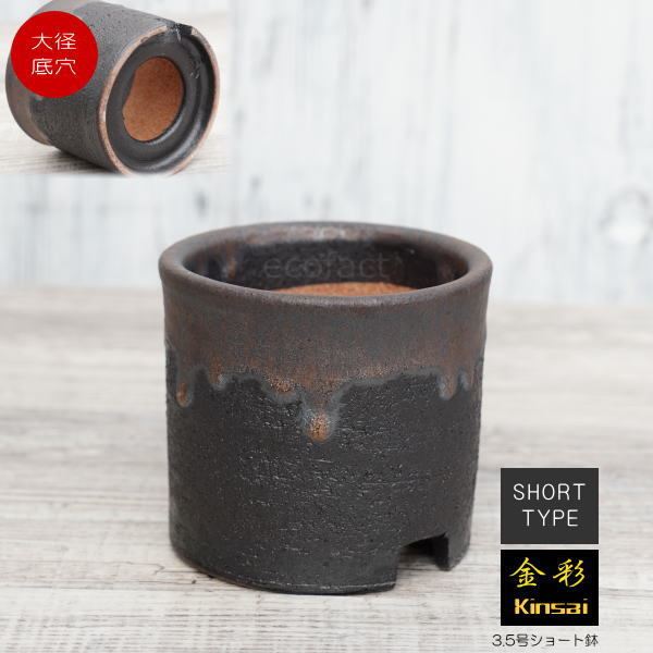 陶器鉢 植木鉢 3.5号ショートタイプ 筒型 金彩 ゴールド/ブラック