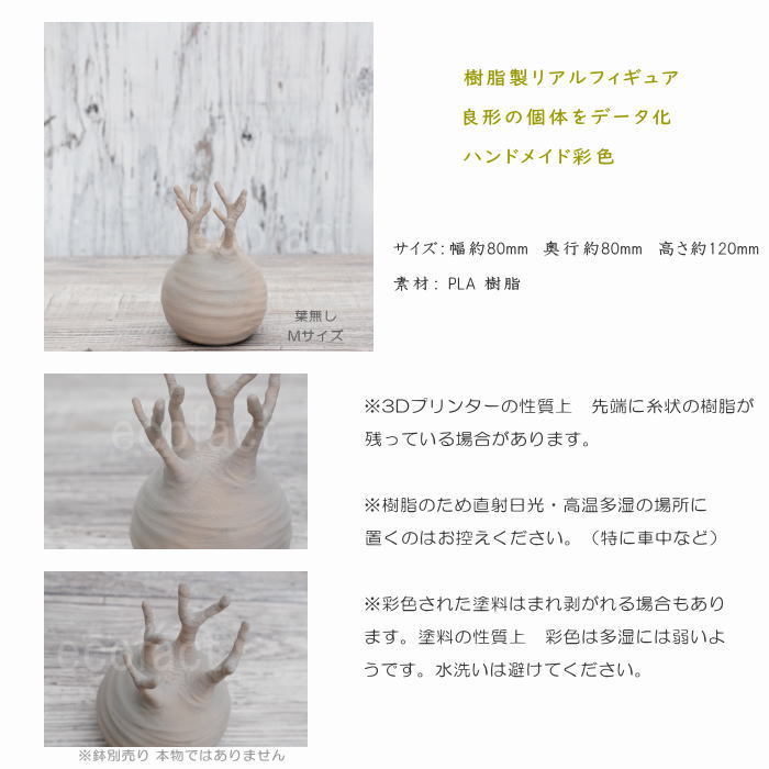 フェイクグリーン 3D フィギュア グラキリス パキポディウム 葉
