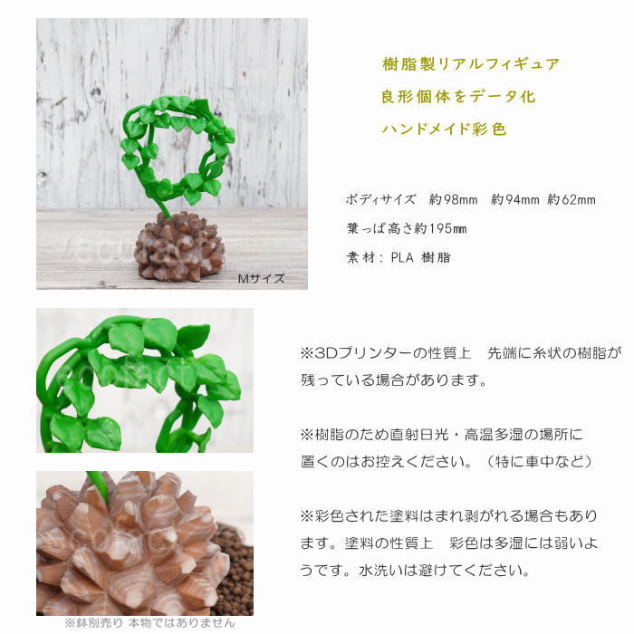 フェイクグリーン 3D フィギュア 亀甲竜 丸型 Mサイズ 195mm キッ