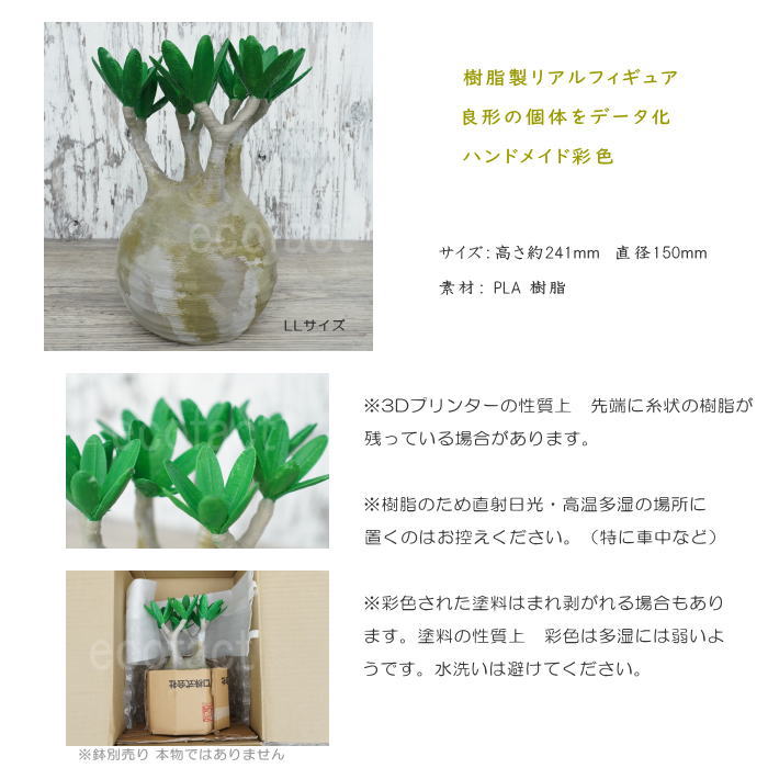 フェイクグリーン 3D フィギュア パキポディウム グラキリス リアル LL