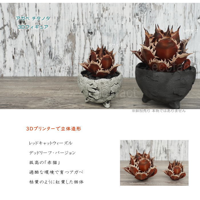 フェイクグリーン 3D フィギュア アガベ チタノタ レッド