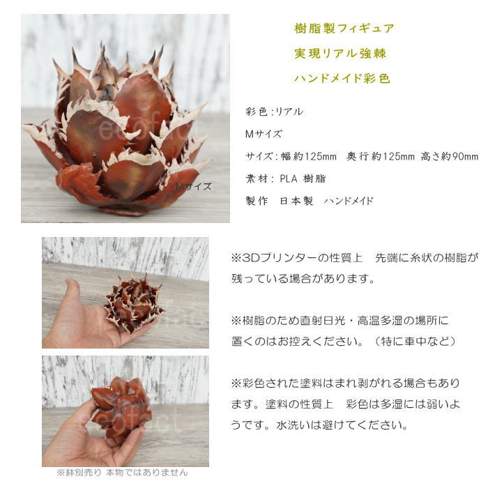 フェイクグリーン 3D フィギュア アガベ チタノタ レッドキャット