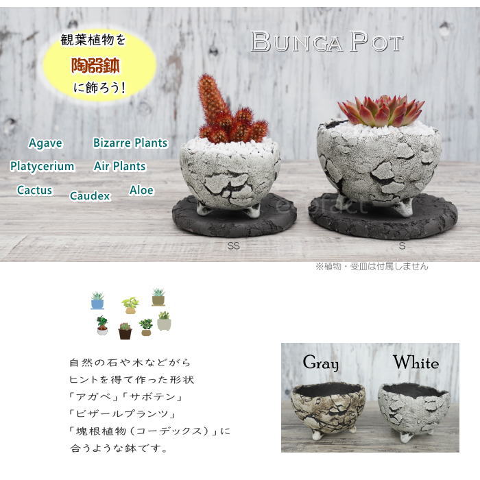 陶器鉢 植木鉢 ミニポット 底穴あり BUNGA POT エッグS (ホワイト