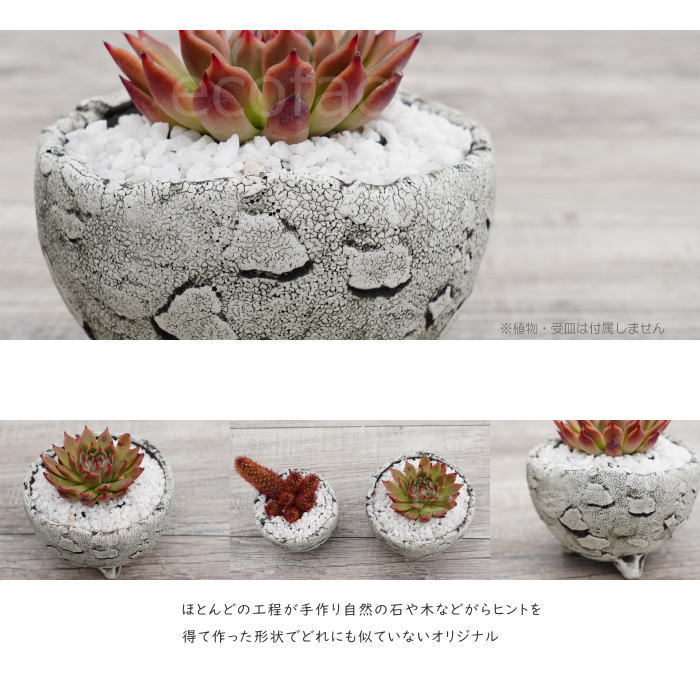 陶器鉢 植木鉢 ミニポット 底穴あり BUNGA POT エッグS (ホワイト