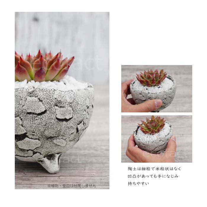 陶器鉢 植木鉢 ミニポット 底穴あり BUNGA POT エッグS (ホワイト