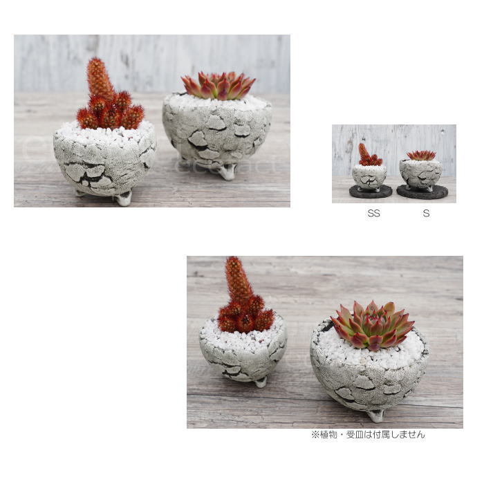 陶芸鉢 「BUNGA POT」　陶器鉢　有田焼　宝寿窯 楽天市場】陶器鉢 植木鉢 ミニポット 底穴あり BUNGA POT ムーン