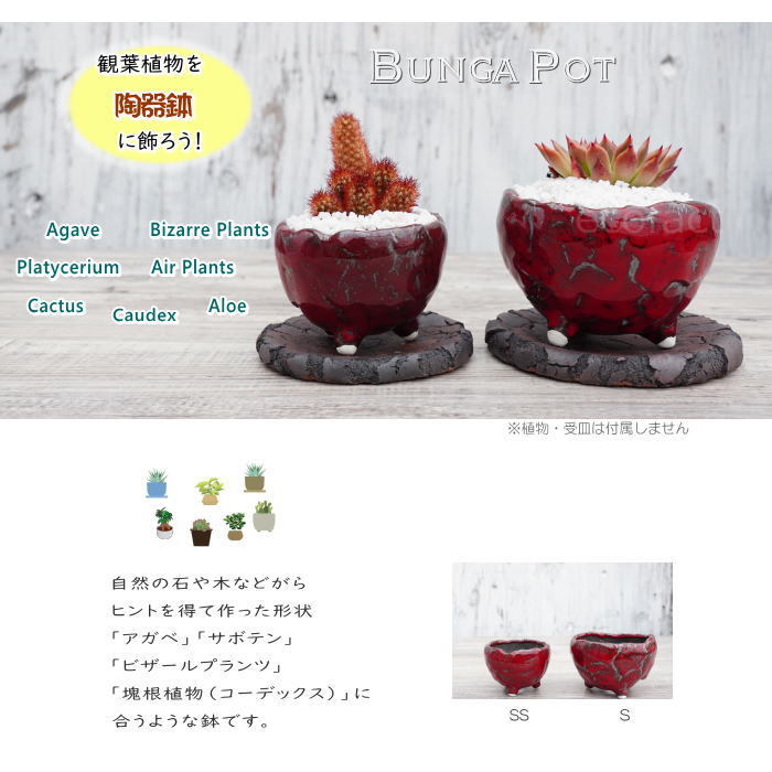 たけろうポット 赤 限定品 未使用 Φ11cm 陶器鉢 作家鉢 陶器鉢 植木鉢 ミニポット 皿付 ソルロックS ラスト（赤錆色）φ13cm