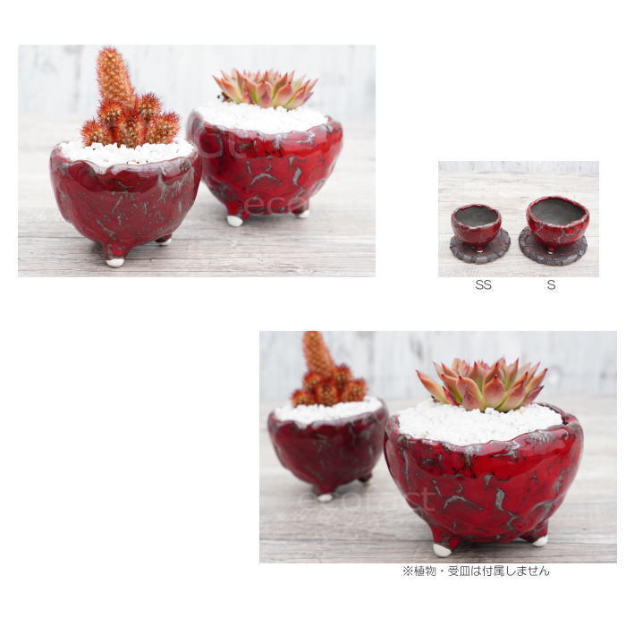 陶器鉢 植木鉢 ミニポット 底穴あり BUNGA POT マグマ（SS）赤 レッド
