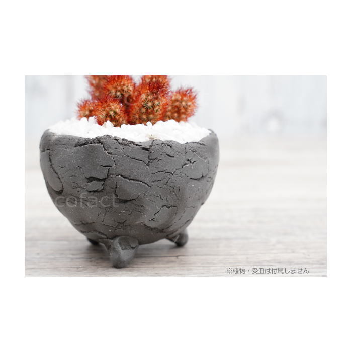 陶器鉢 植木鉢 ミニポット 底穴あり BUNGA POT エッグ（SS）黒