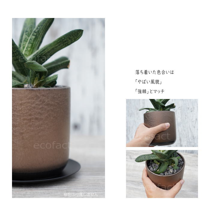 陶器鉢 植木鉢 ミニポット 皿付 みやび M 筒型 ブロンズ φ12cm
