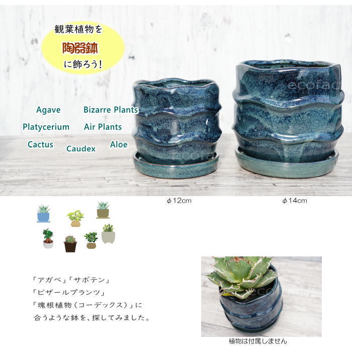 陶器鉢 植木鉢 ミニポット 皿付 ソルナミルS ネービー φ12cm