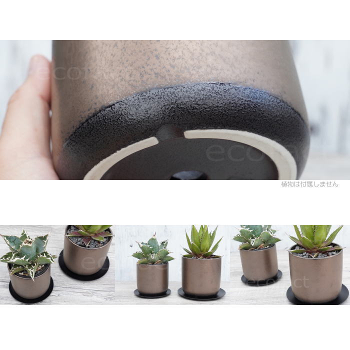 陶器鉢 植木鉢 ミニポット 皿付 みやび M 筒型 ブロンズ φ12cm 国産鉢