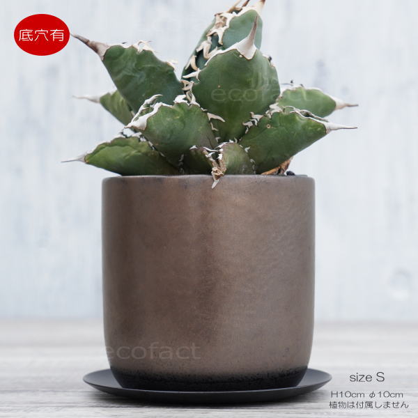 陶器鉢 植木鉢 ミニポット 皿付 みやび S 筒型 ブロンズ φ10cm 国産鉢