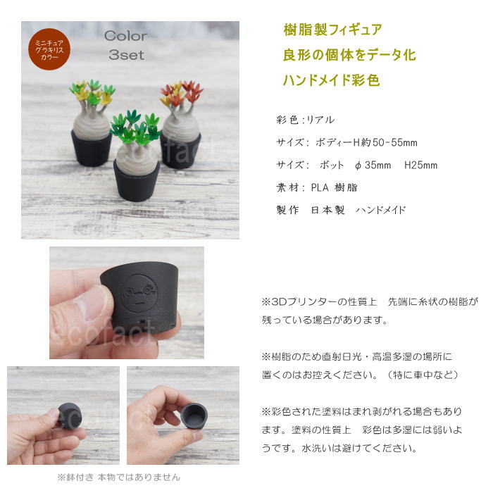 3D フィギュア ミニチュア 3セット カラー グラキリス パキポディウム