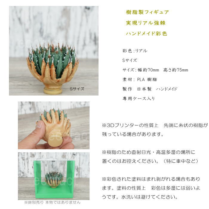 フェイクグリーン 3D フィギュア アガベ ユタエンシス エボリスピナ S