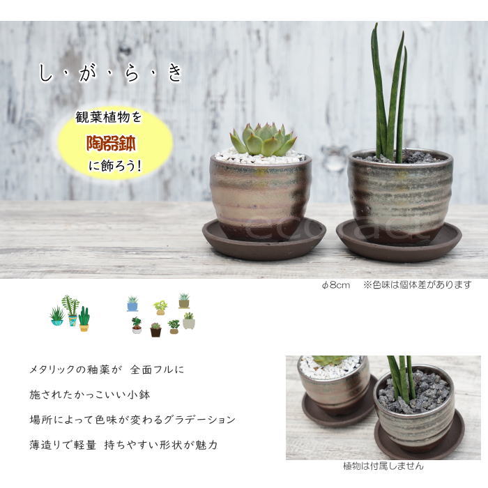 土味あふれる手作り陶器鉢 01812-1689b.jpg