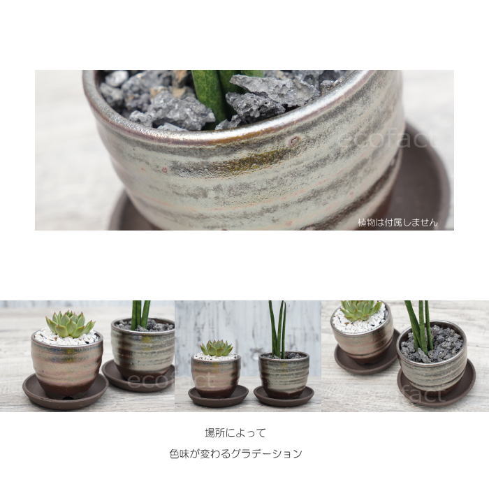 PLANT HUNTER 小型植木鉢 青茶グラデーション 植木鉢 丸型ポット 筒 プランター 多肉ポット 園芸用品