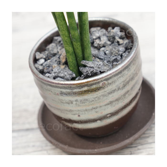 鈞窯 植木鉢支え 水盤 【公式通販】