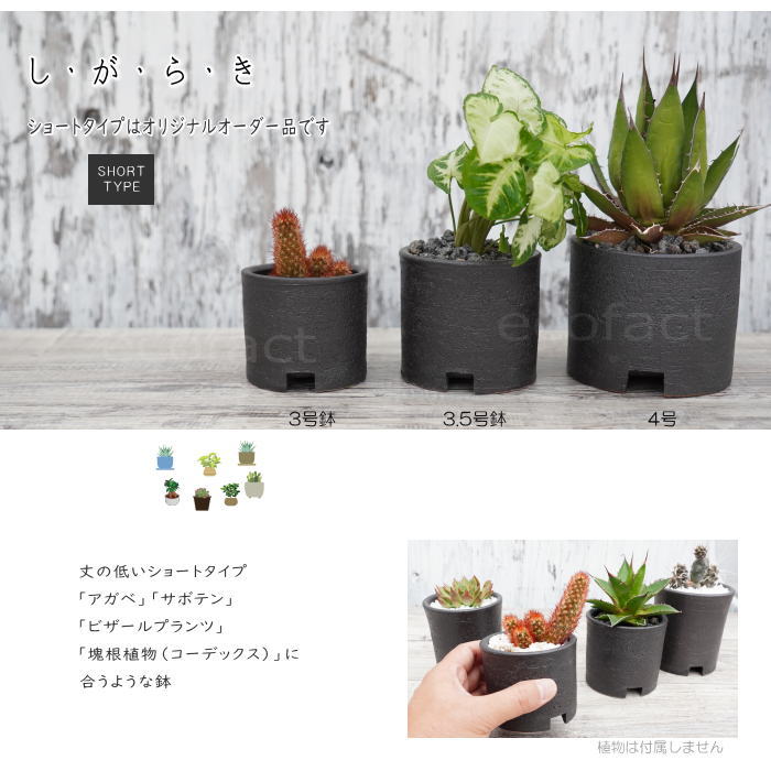 陶器鉢 植木鉢 4号ショートタイプ 筒型 ブラック おしゃれ プランター