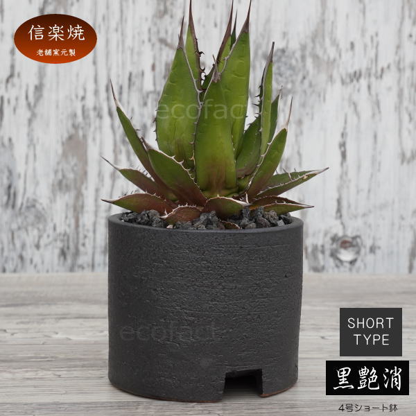 信楽焼 プランター 楽天市場】植木鉢 おしゃれ 人気 おすすめ プランター 小型