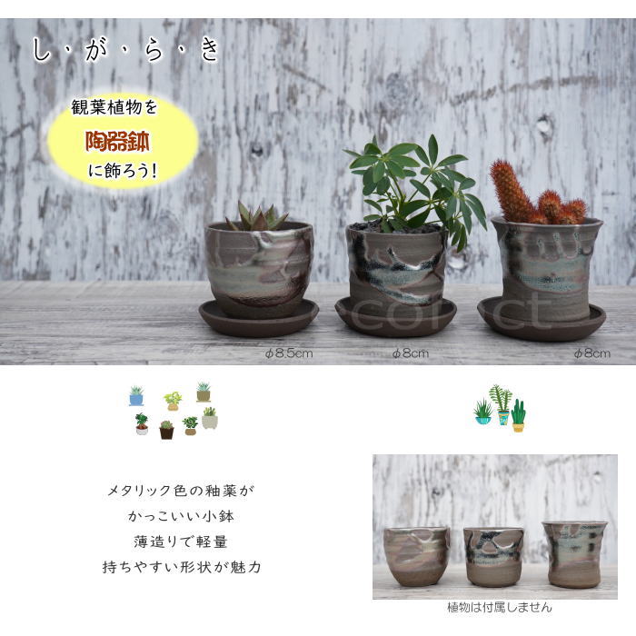 陶器鉢 植木鉢 小鉢 底穴あり 鉄釉縦型（ガンメタ）φ8cm 受皿