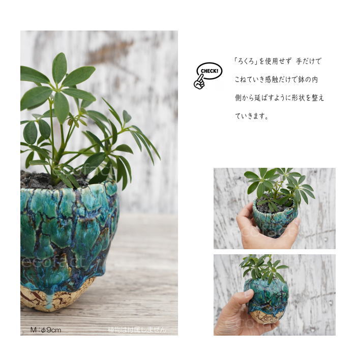 陶器鉢 植木鉢 底穴ありフォレスト（緑）白茶M φ9cm 日本製 園芸