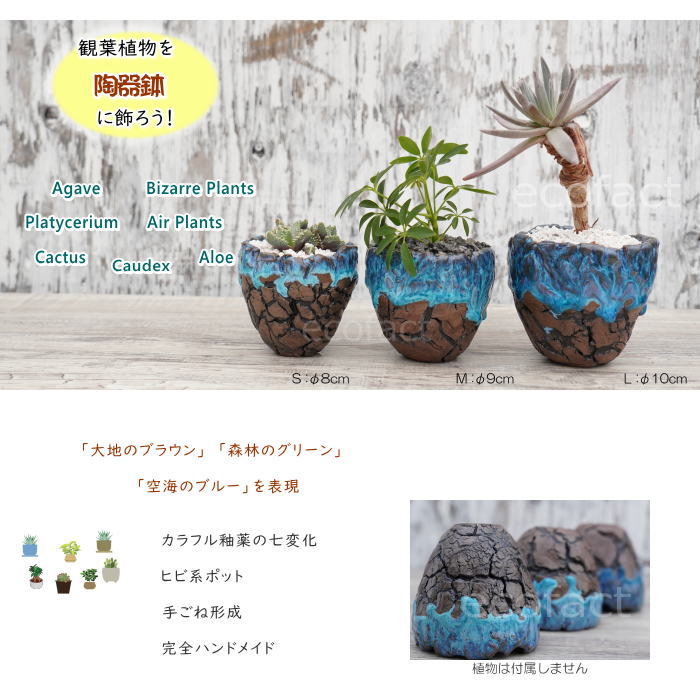 新製品情報も満載 植木鉢多肉塊根観葉植物ハンドメイド陶器陶芸アカベ