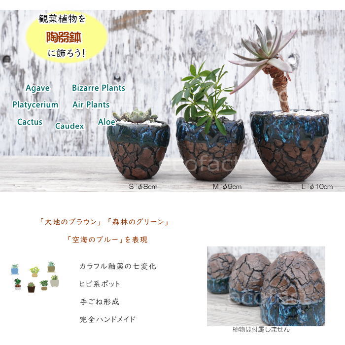 究極の美◼️蔵から美しい自然釉薬の備前焼と思われる盆栽鉢が出てきた、茶道具、花道具 Amazon.co.jp: 究極の美蔵から美しい自然釉薬の備前焼と思われる