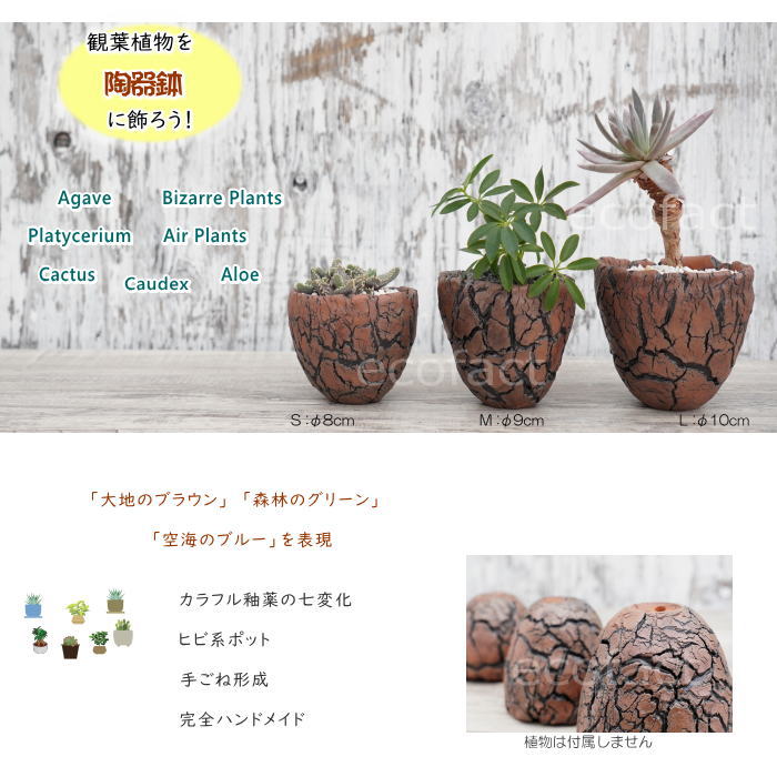 陶器鉢 植木鉢 底穴あり アース 茶 M φ9cm 日本製 園芸鉢 観葉植物 