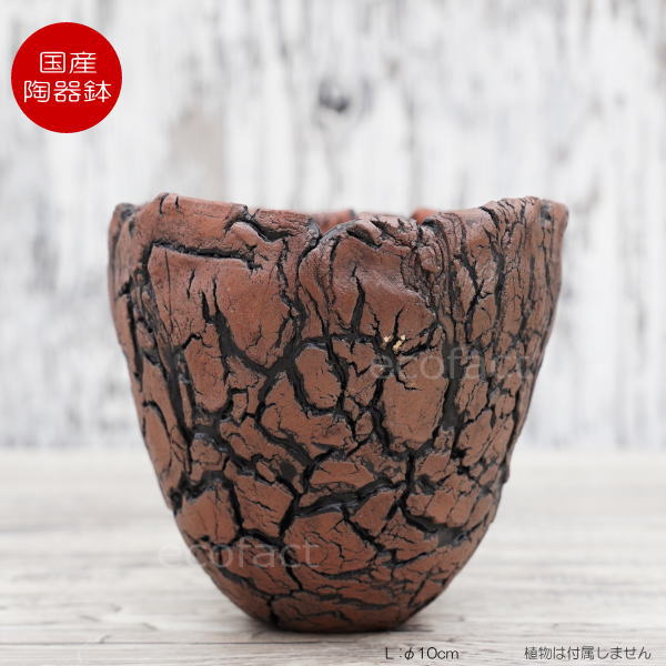 陶器鉢 植木鉢 底穴あり アース 茶 L φ10cm 日本製 園芸鉢 観葉植物