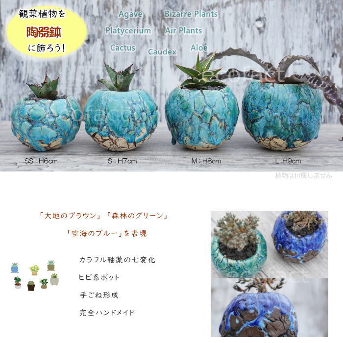 陶器鉢 植木鉢 底穴あり 丸型 フォレスト（グリーン）白茶 SS H6cm