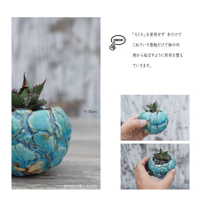 陶器鉢 植木鉢 底穴あり 丸型 フォレスト（グリーン）白茶 SS H6cm