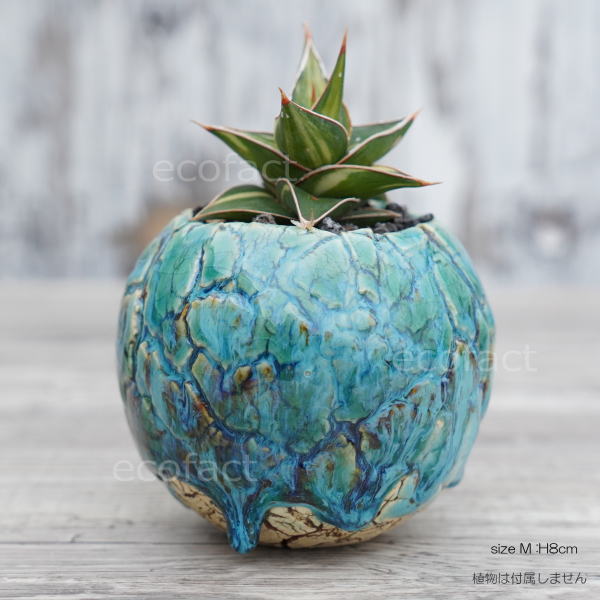 陶器鉢 植木鉢 底穴あり 丸型 フォレスト（グリーン）白茶 M H8cm 日本
