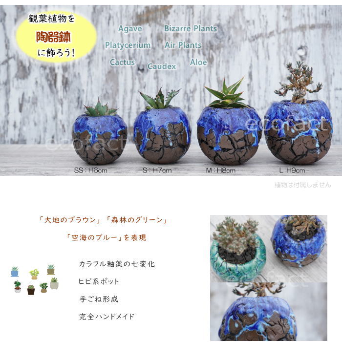 陶器鉢 植木鉢 底穴あり 丸型 オーシャン（ブルー） M H8cm 日本製