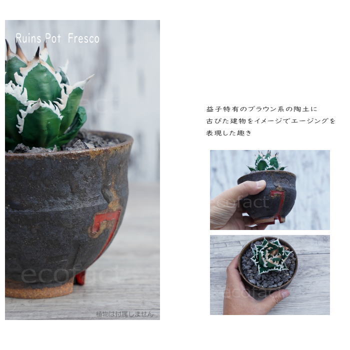 陶器鉢 植木鉢 小鉢 底穴あり 益子焼 Ruins Pot Fresco むくり φ11cm