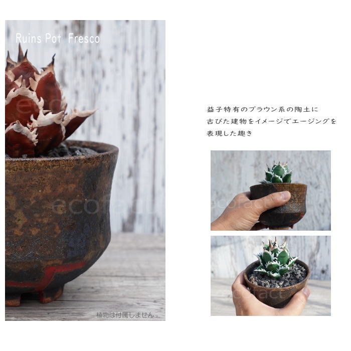 陶器鉢 植木鉢 小鉢 底穴あり 益子焼 Ruins Pot Fresco 大そり
