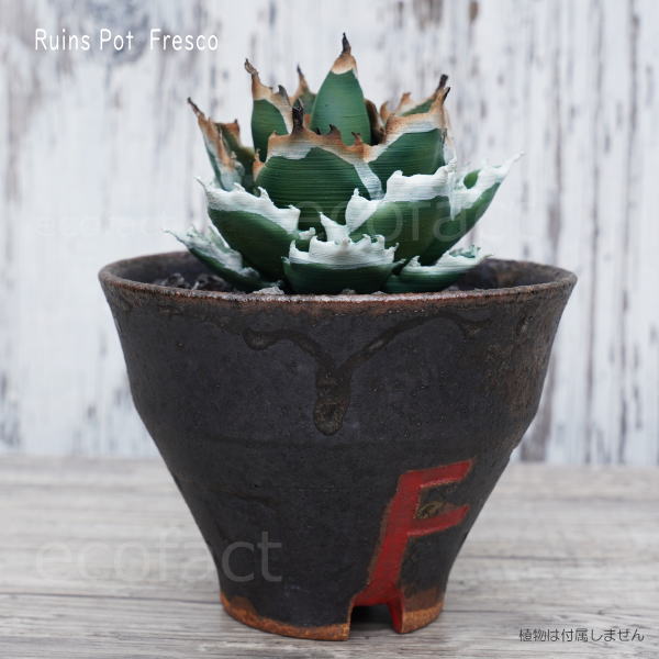 陶器鉢 植木鉢 小鉢 底穴あり 益子焼 Ruins Pot Fresco そり高 φ11cm