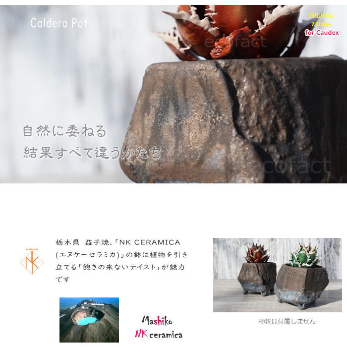 Amazon｜Ouvstravagan 純銅純手たたき銅壺銅壺レトロ銅製やかん