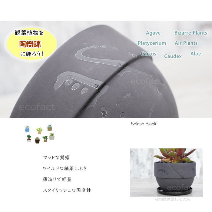 陶器鉢 植木鉢 美濃焼 SPLASH POT 4号 底穴あり ブラック 国産鉢