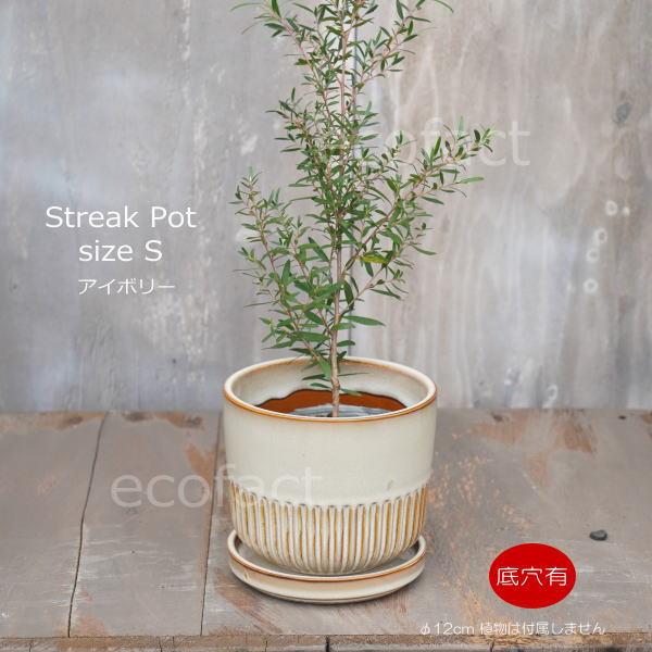 激レア　earnest hearts pot volt type-RE 植木鉢 激レア earnest hearts pot volt type-RE 植木鉢